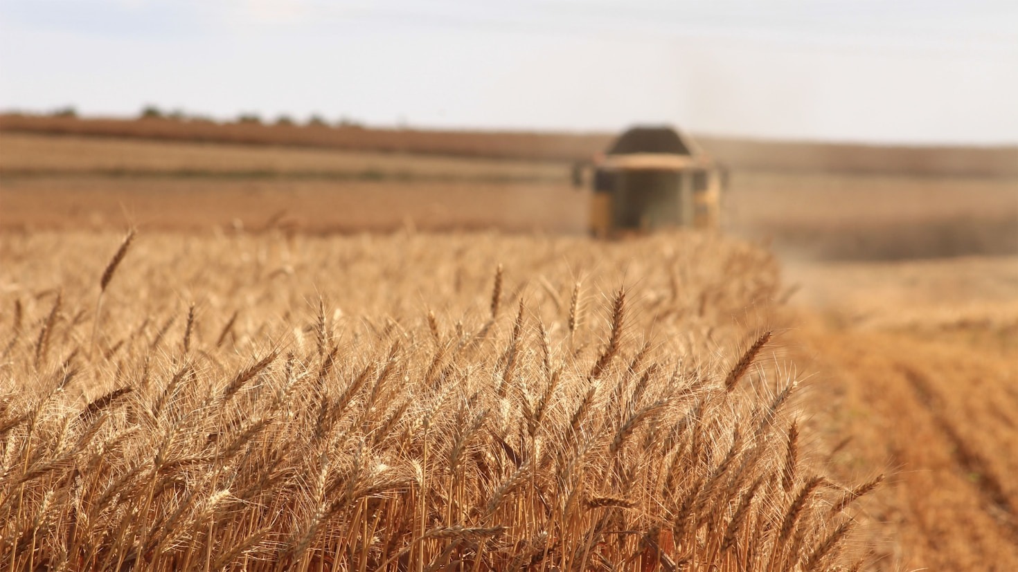 Agriculture and Its Key Role in Sustainability