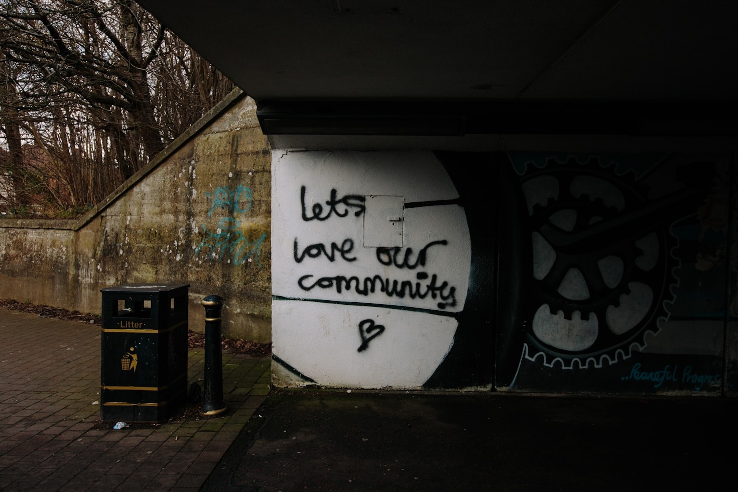 The Intersection of Social Welfare and Environmental Advocacy