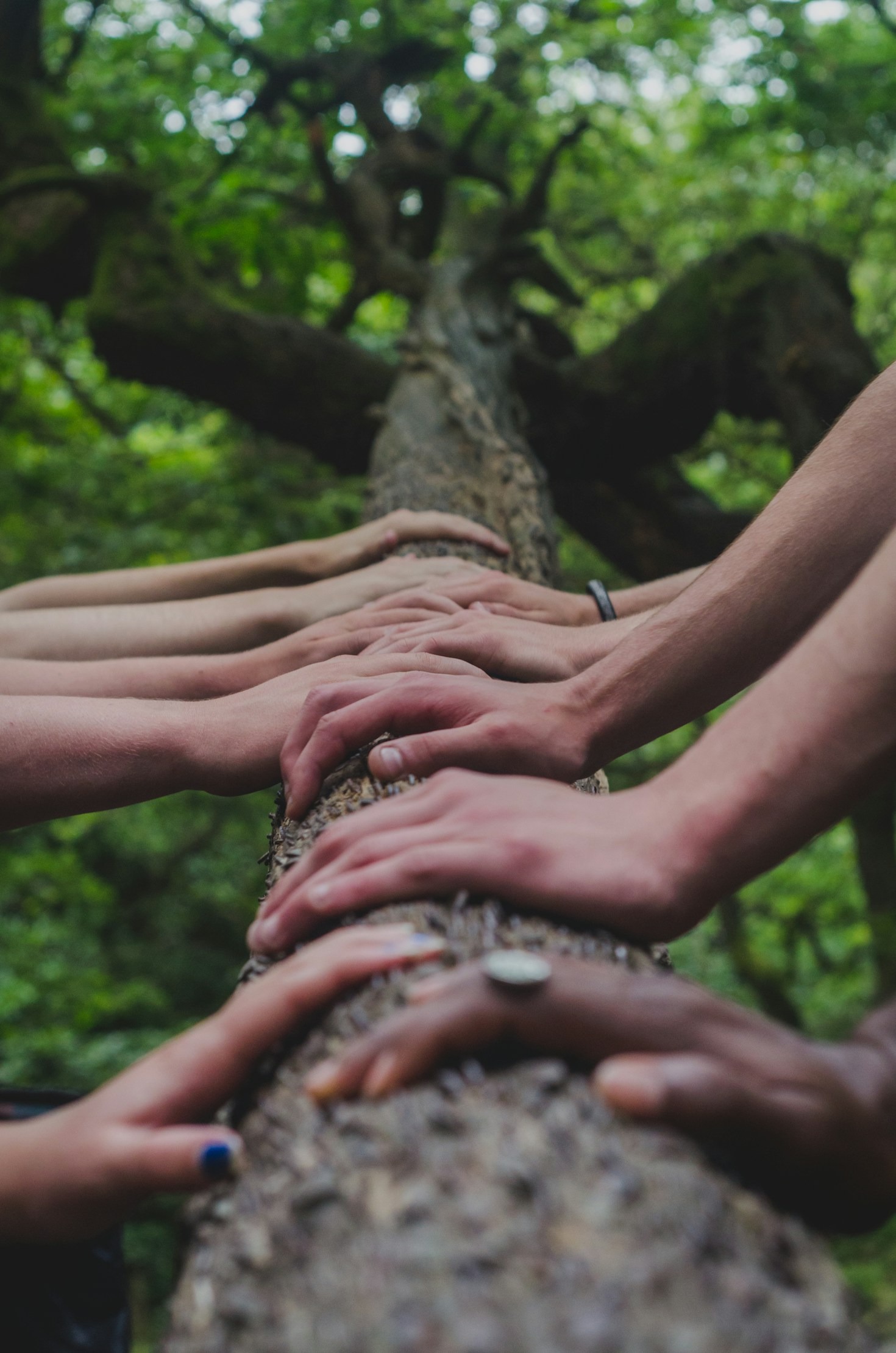 Empowering Future Generations Through Community Support